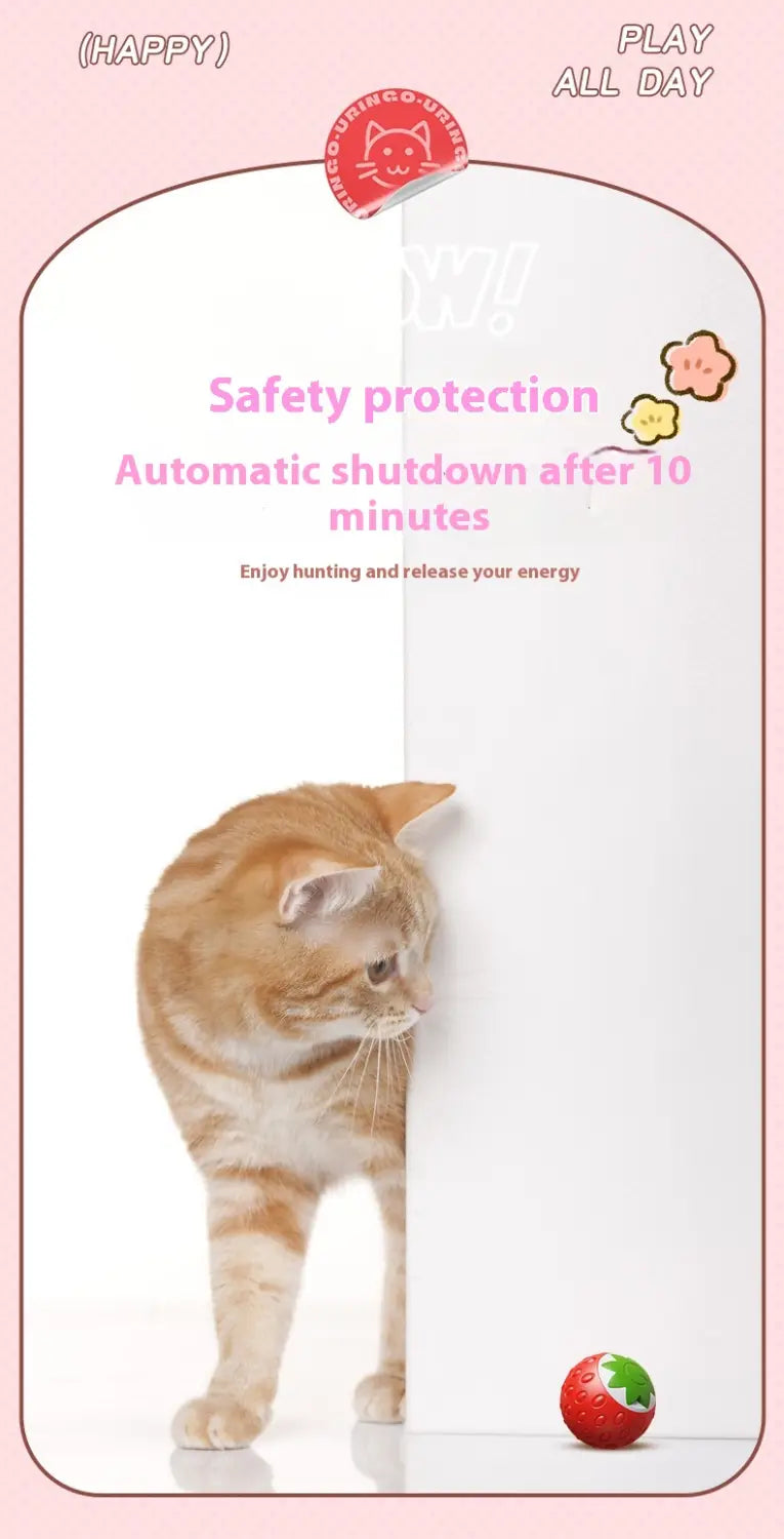 Kassipalliroheline ja oranž interaktiivne veerev kuuli mänguasi lemmikloomadele