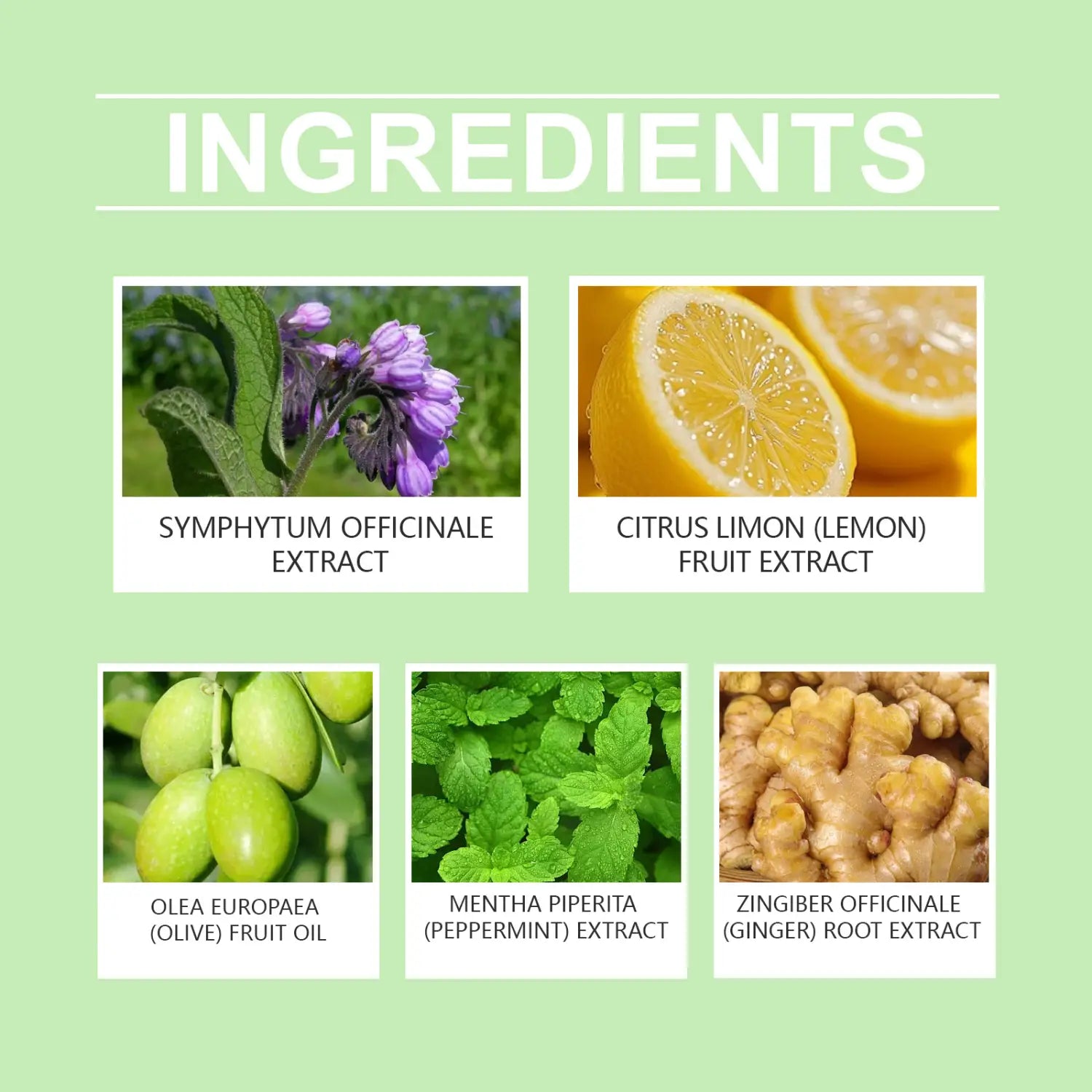 Lithospermi Body Nursing Stickers Pack for Radix Arnebiae Seu