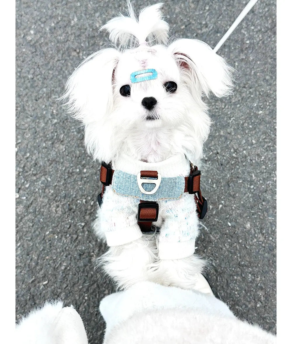 Leash madra frith -bhite H03 donn donn cadás poileistear poileistear rópa tarraingthe láidir