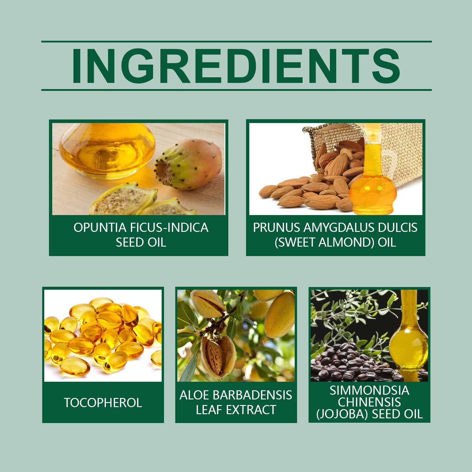 50ml Massage Essential Oil for Body Care and Relaxation - Teleplus massage essential oil body care products