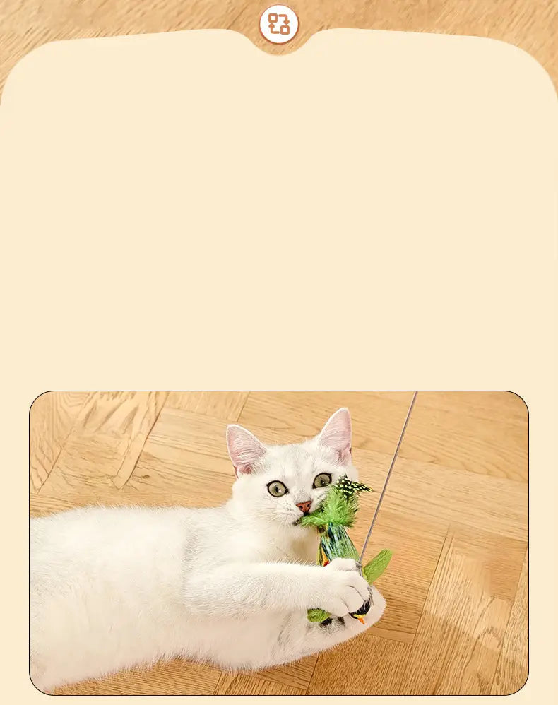 Interaktiivinen lintukissan lelu sisäkissoille