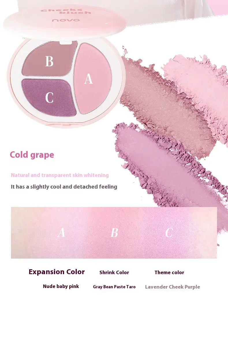 Long Lasting Blush Palette for All Skin Types Natural Matte Rouge Makeup