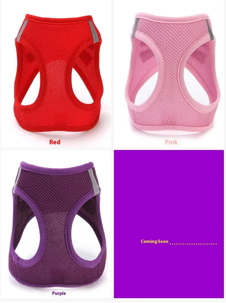 Macska kitörő biztonsági gallér hálószalaggal és kézi kötéllel több színben