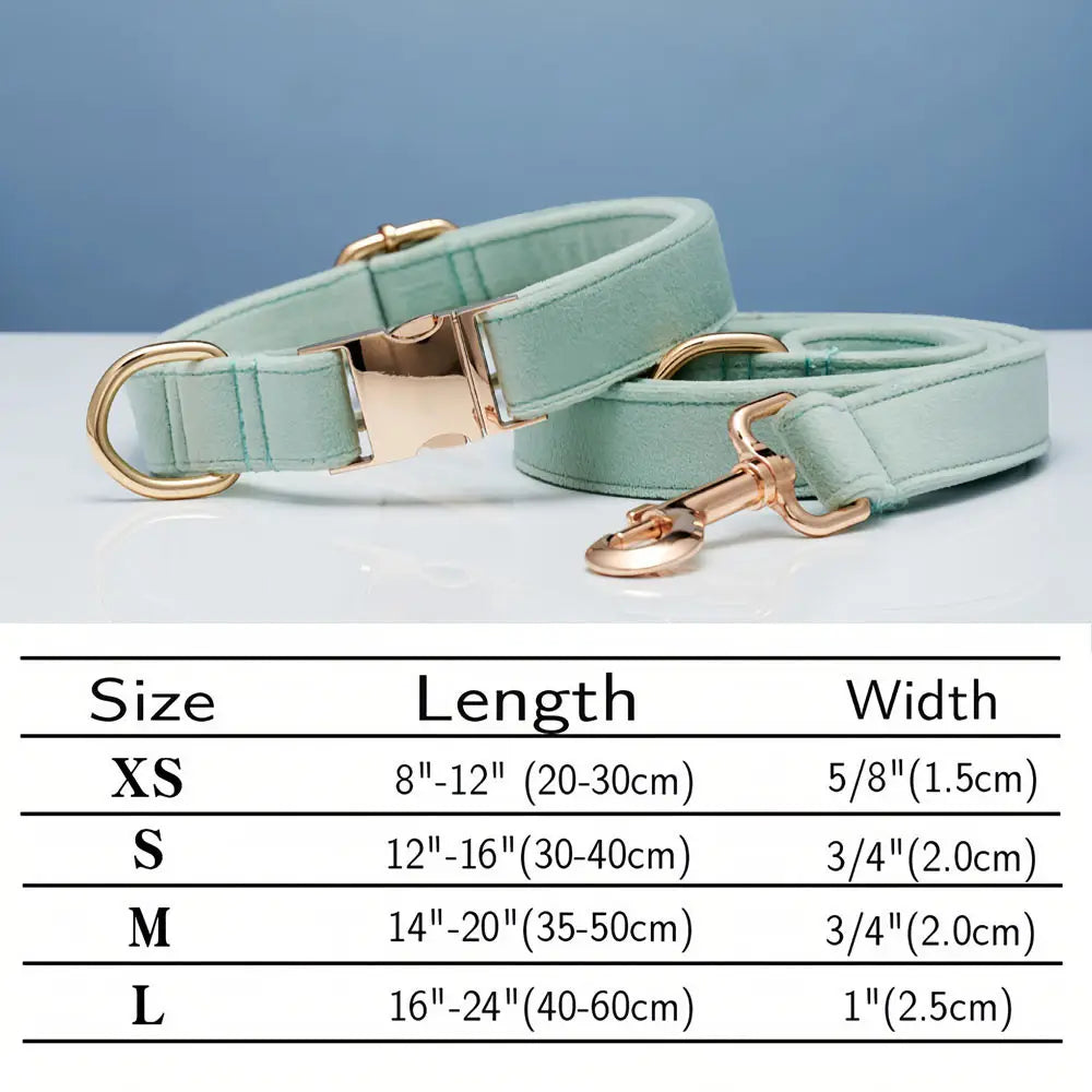 Collier de corde en orange corallien et animal de compagnie réglable vert à eau légère