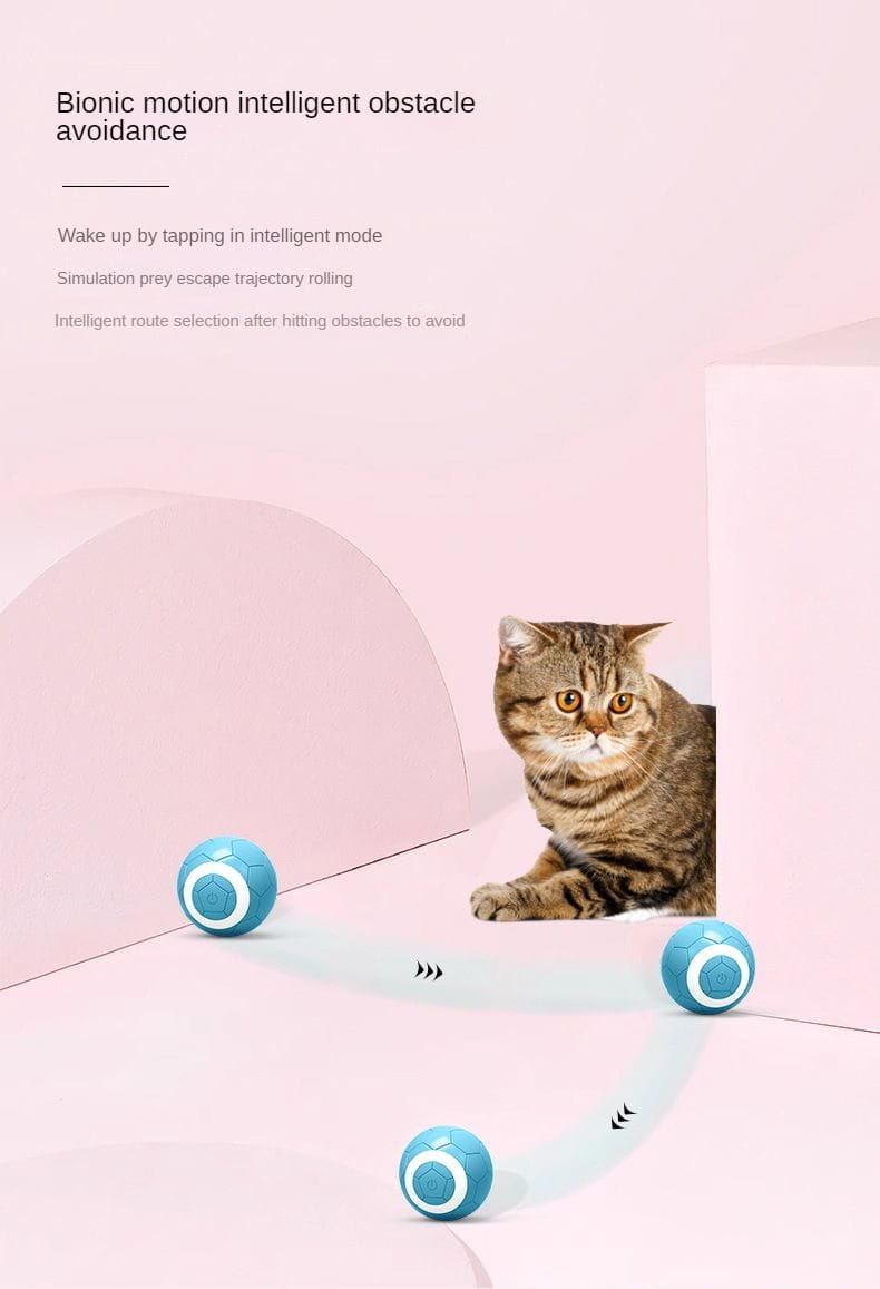 Värviline kummist lemmiklooma mänguasjapall koertele ja kassidele interaktiivne näri