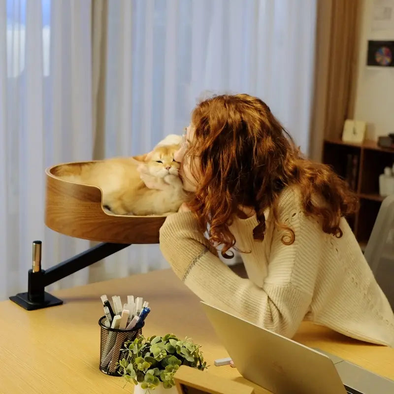 Kiinnike kissan pesä seinälle asennettu sänky puinen ahvenhylly sisäkissoille