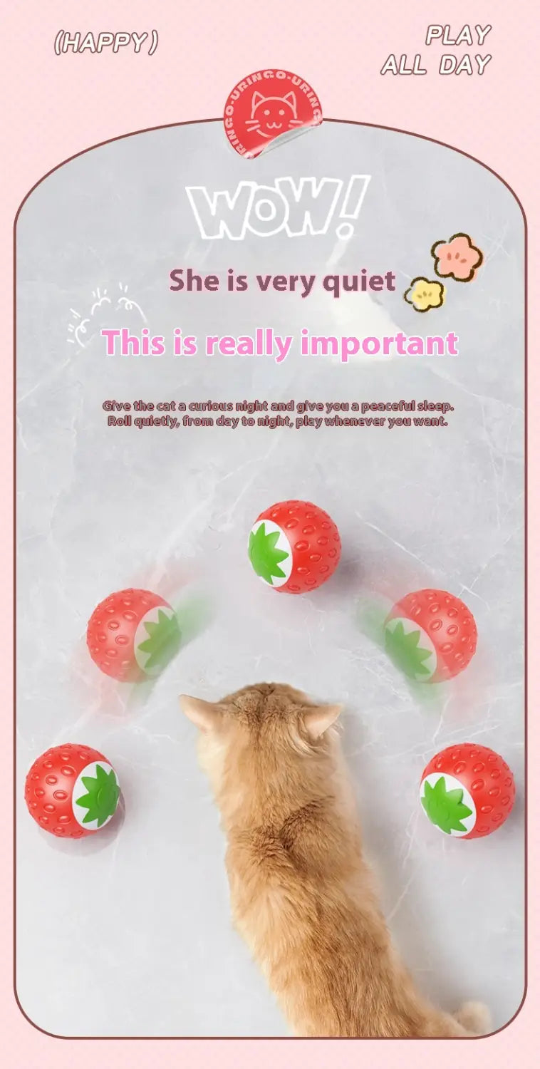 Kassipalliroheline ja oranž interaktiivne veerev kuuli mänguasi lemmikloomadele