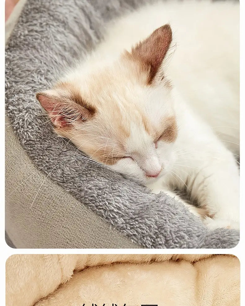 Ortopeediline koera voodipesa pestav lemmikloomamadrats suurtele ja väikestele koertele