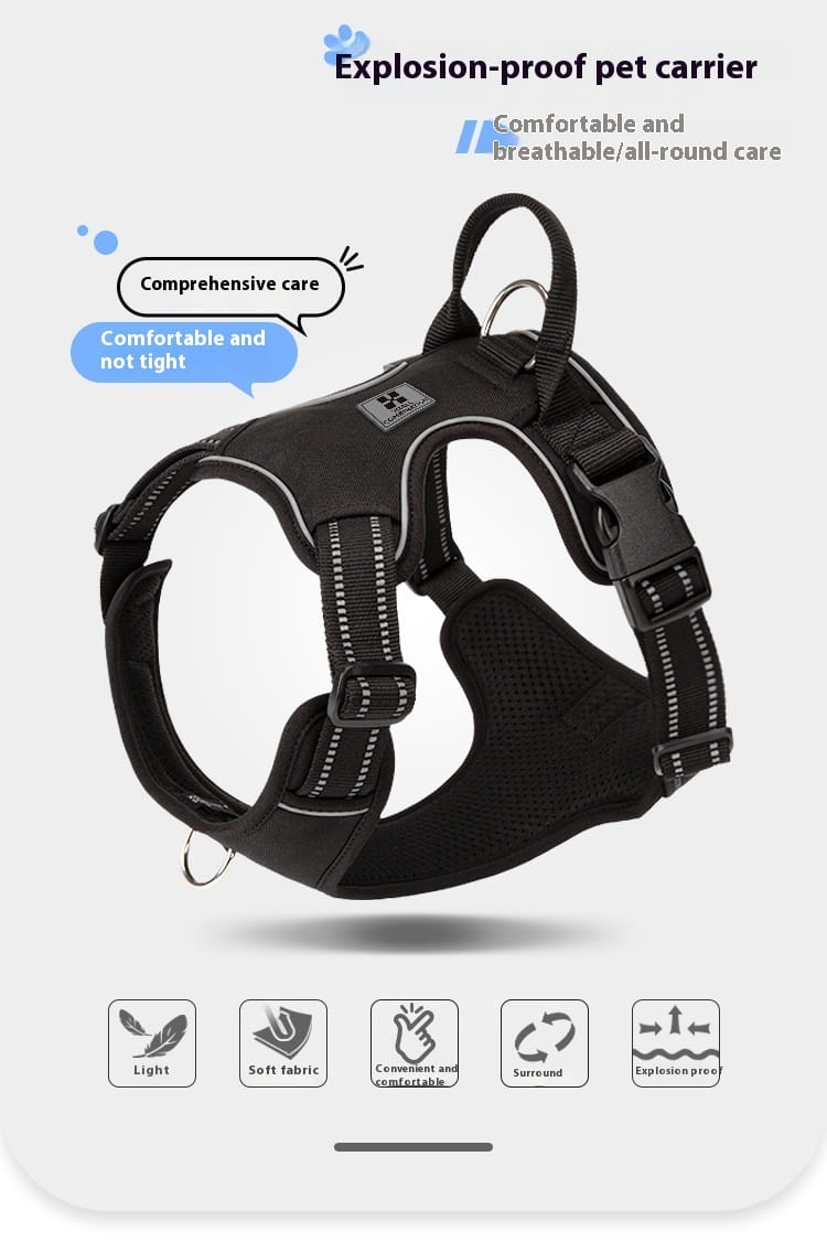 Laisse animale mains libres avec bracelet mammaire réglable pour circonférence thoracique X