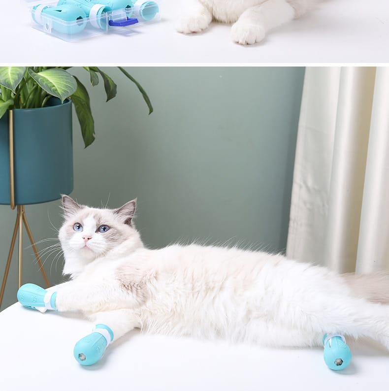 Andra generationens ljusblå gröna rosa kattstövlar gummi non slip pet skor