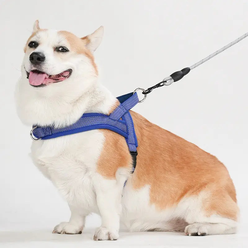 Regulowany pasek na klatkę piersiową do zwierząt domowych poliester z pierścieniem łańcuchowym