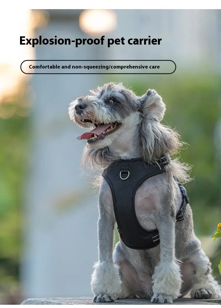 Laisse animale mains libres avec bracelet mammaire réglable pour circonférence thoracique X