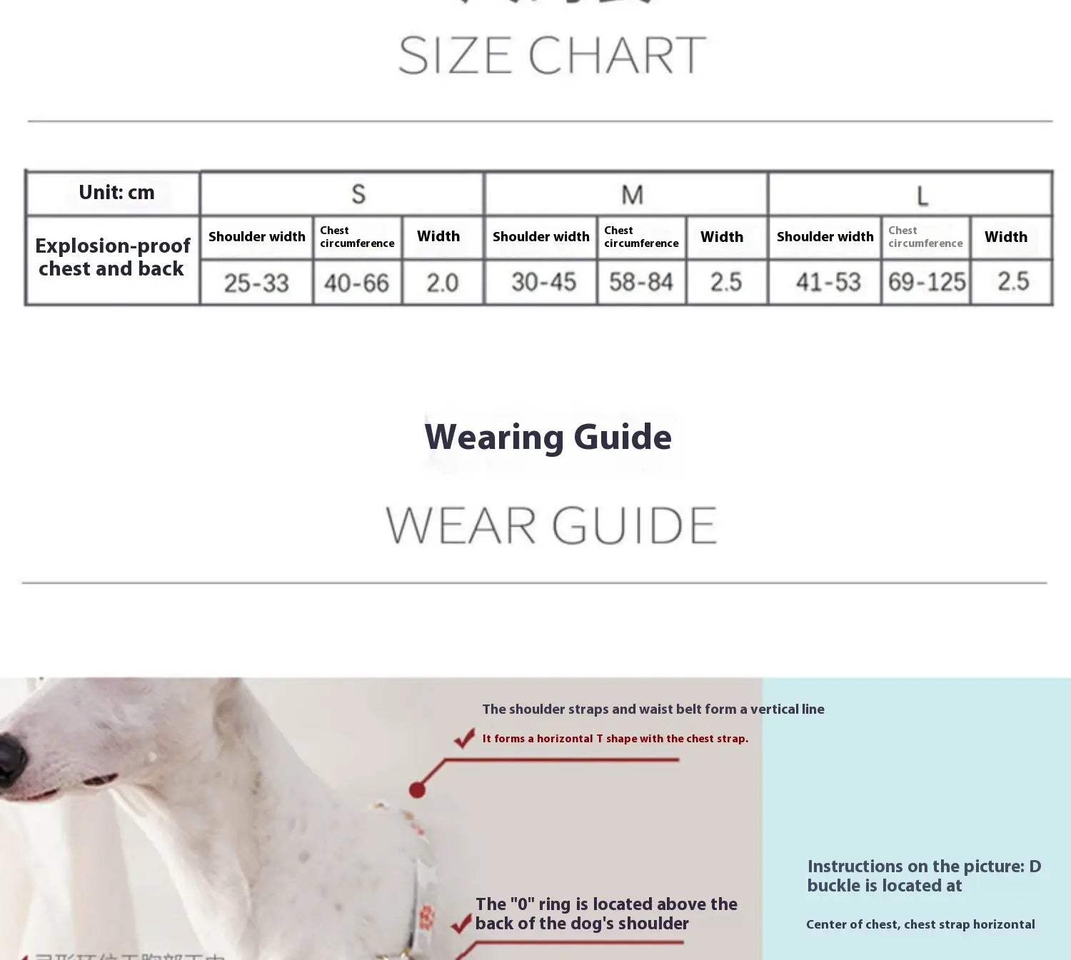 Laisse de compagnie mains libres et sangle de sangle de la sangle