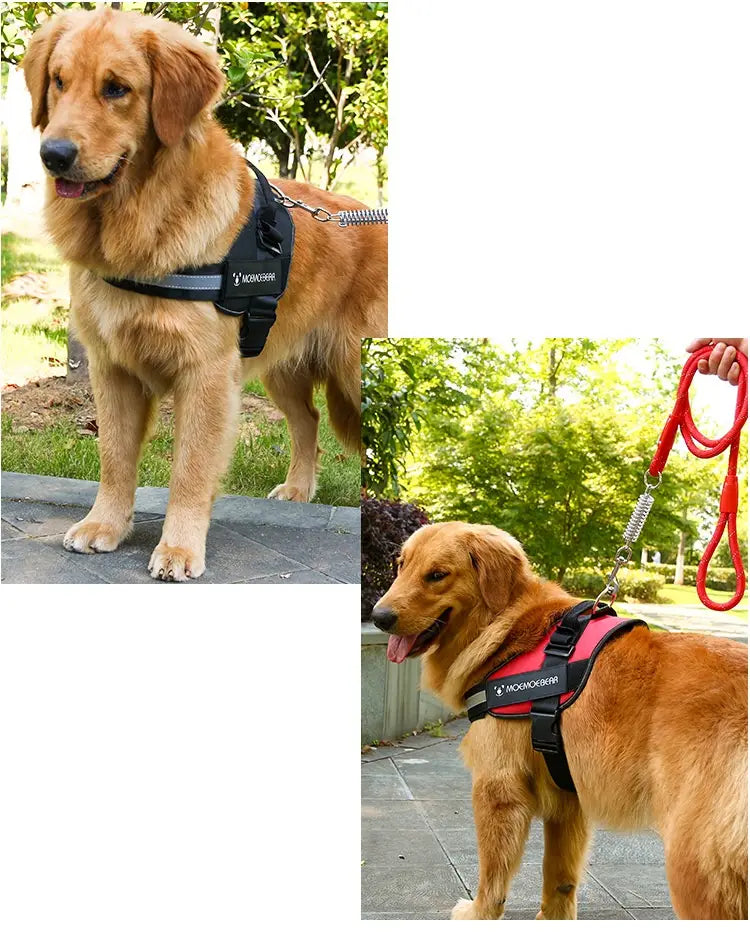 Regulowana uprzęże psów i smycz Kolorowy miękki pasek do spacerów dla zwierząt domowych