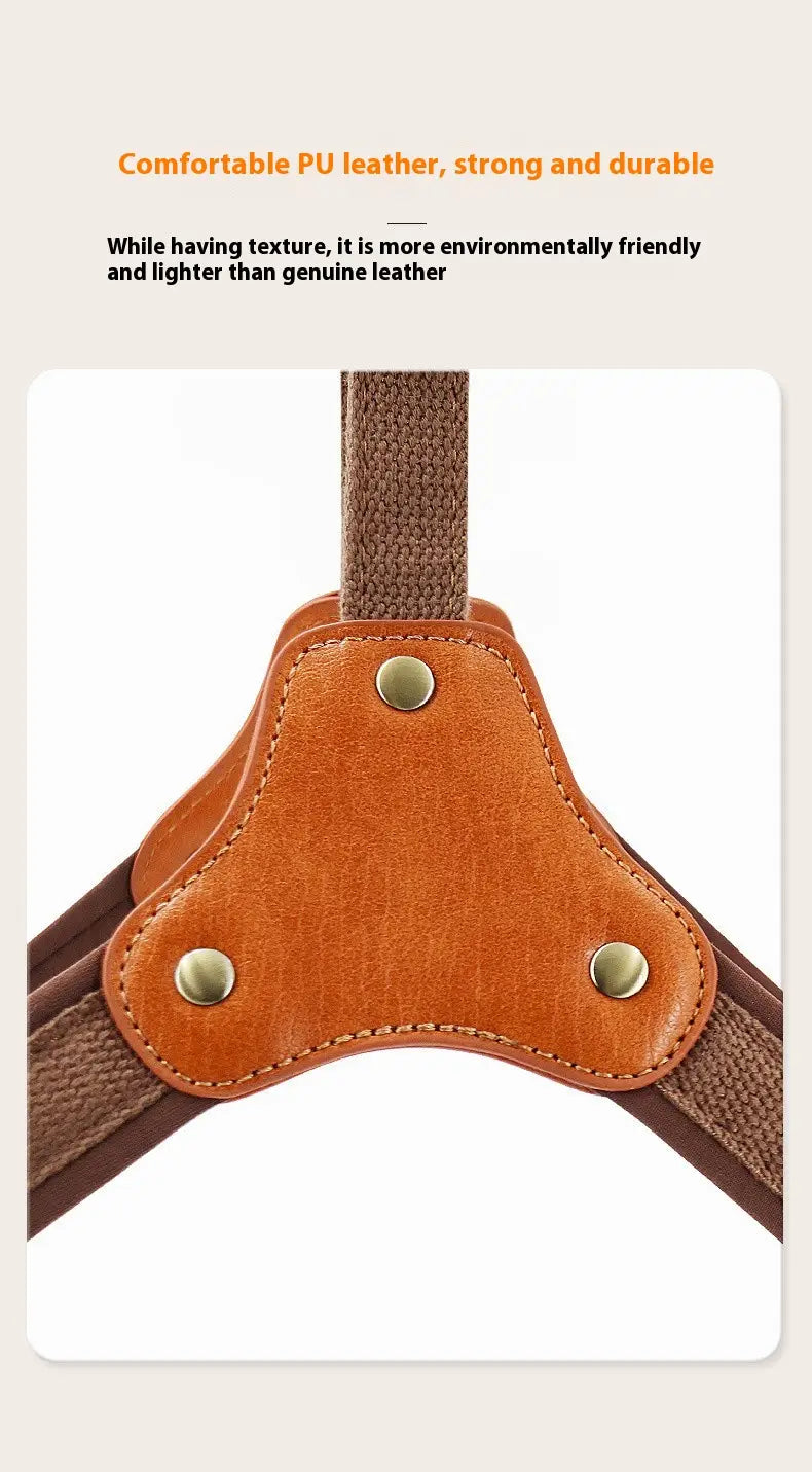 Dílsiú bog inchoigeartaithe le úim cat agus le leas an léas