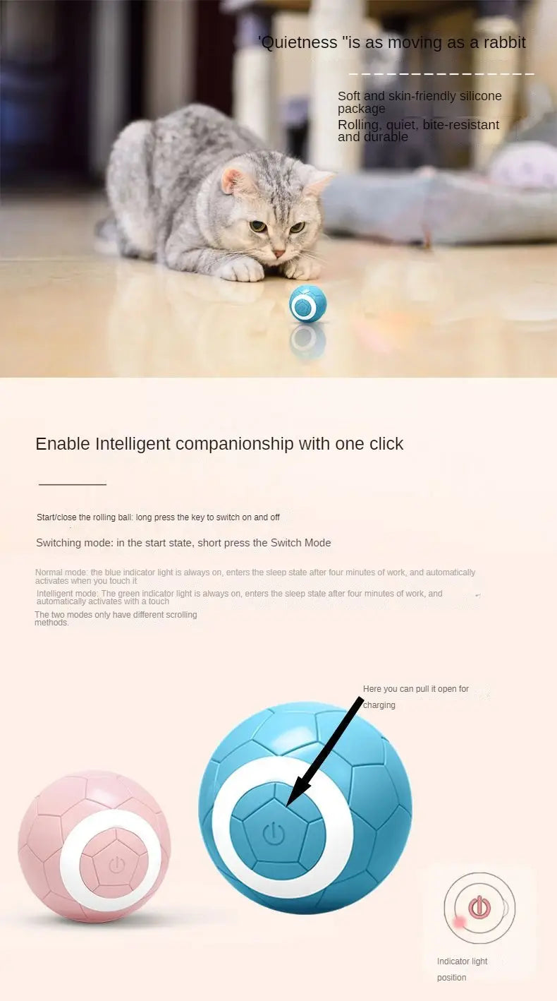 Värviline kummist lemmiklooma mänguasjapall koertele ja kassidele interaktiivne näri