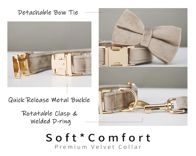 Velvet Dog Collar with Bow Tie Metal Buckle and Soft Cotton Lining