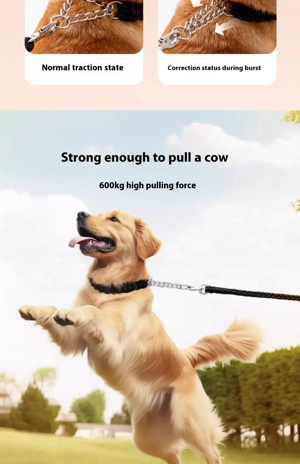 Suite de collier de formation pour animaux de compagnie de base en plusieurs couleurs 1,2 m réglable