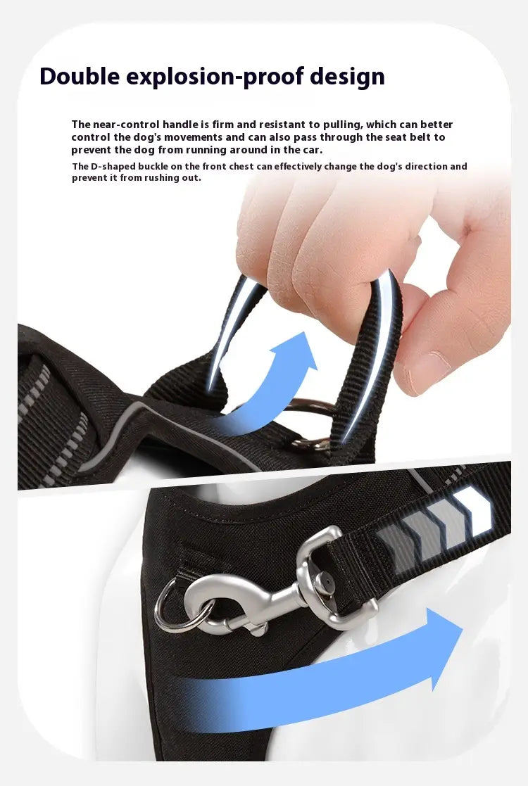 Laisse animale mains libres avec bracelet mammaire réglable pour circonférence thoracique X