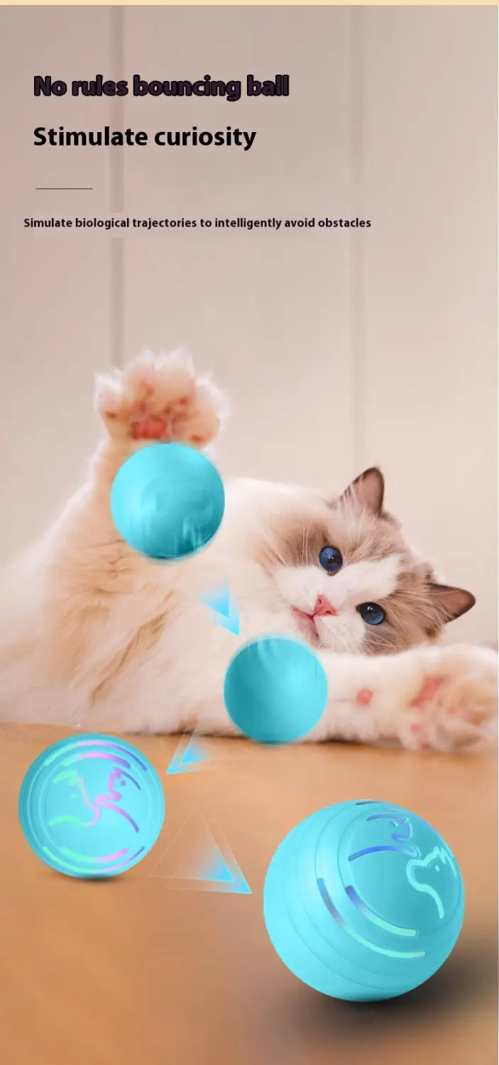 Värviline Bouncy Ball TPU lemmiklooma mänguasi koertele ja kassidele interaktiivne mäng