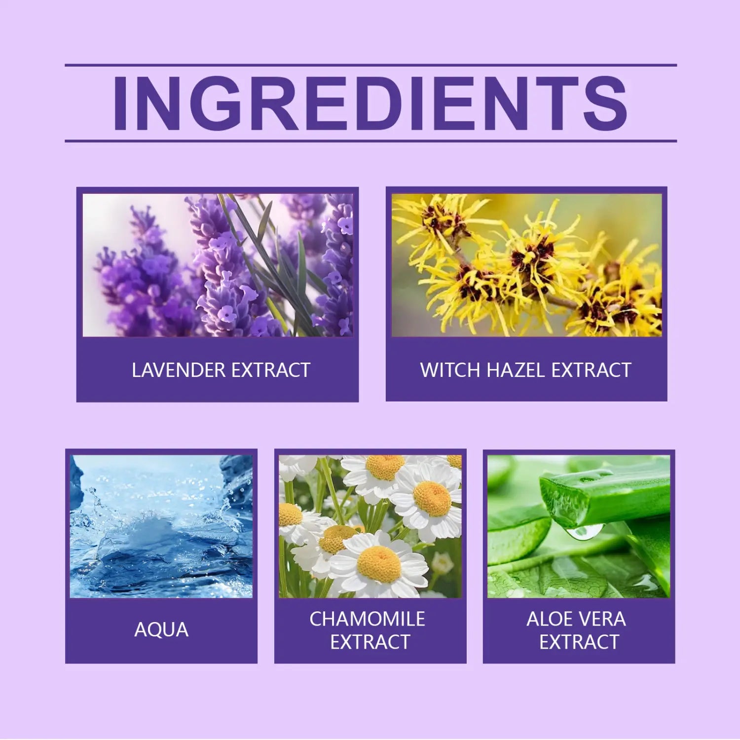 Lavender Essential Oil Body Care Kit with Spray and Extracts