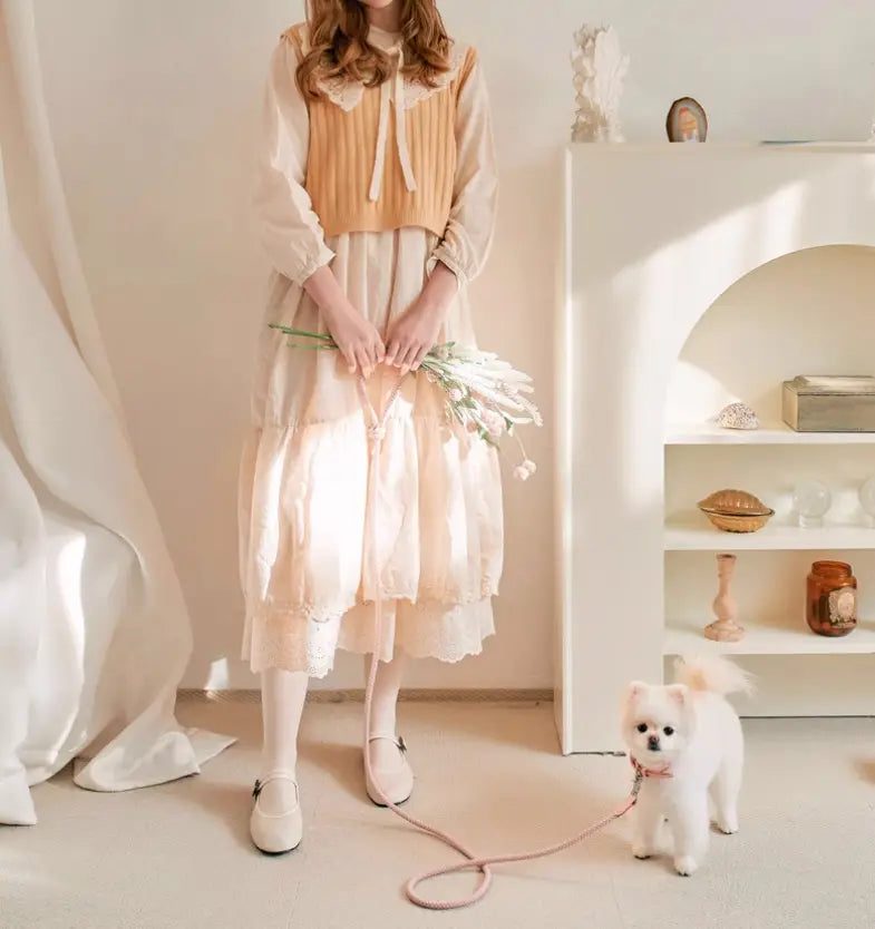 Double animal laisse main tenant corde anti-morsure en cuir de chien