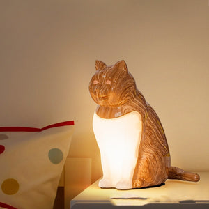 Seomra leapa usb ornáidí cat ornáidí cat maisiúcháin maisiúil lampa tábla cruthaitheach