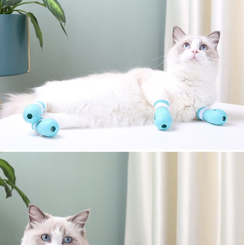 Andra generationens ljusblå gröna rosa kattstövlar gummi non slip pet skor