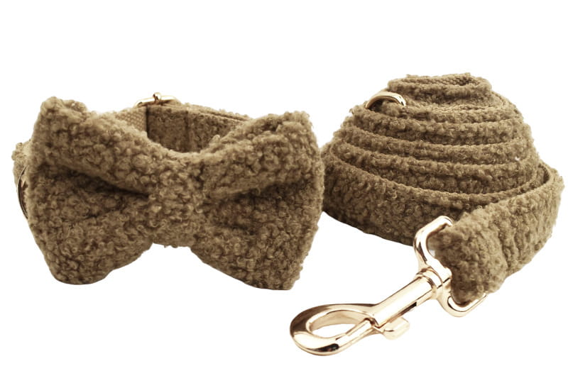 Collar de perro y correa con chaleco de arco de banda circular para mascotas