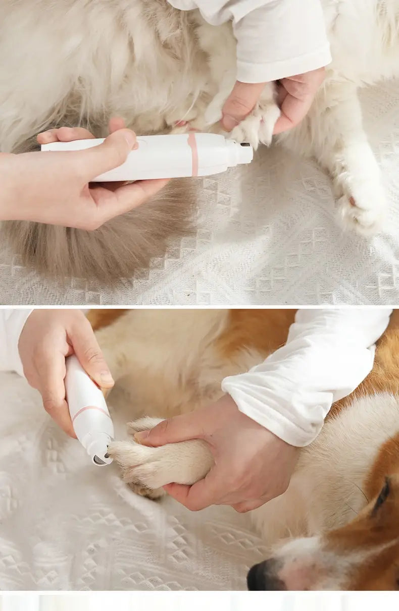 Clippers Gruaige Peataí T66 Culaith 3-I-1 le haghaidh Grooming Cos Áitiúil agus Baile Átha Troim