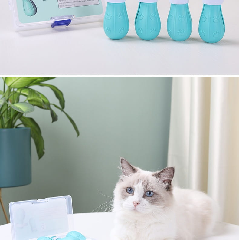 Andra generationens ljusblå gröna rosa kattstövlar gummi non slip pet skor