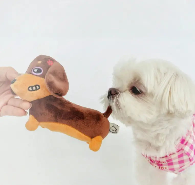 Palus pesukaru koer mänguasi pehme piiksutav näri väikestele ja keskmistele koertele