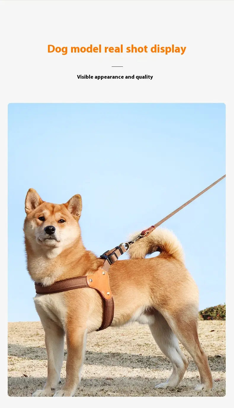 Dílsiú bog inchoigeartaithe le úim cat agus le leas an léas