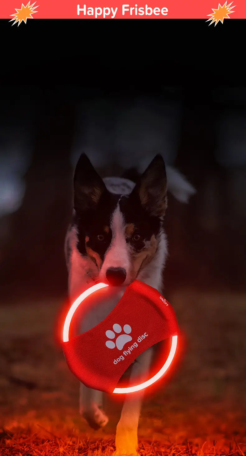 Színes repülő lemezek kültéri játékokhoz és tengerparti tevékenységekhez