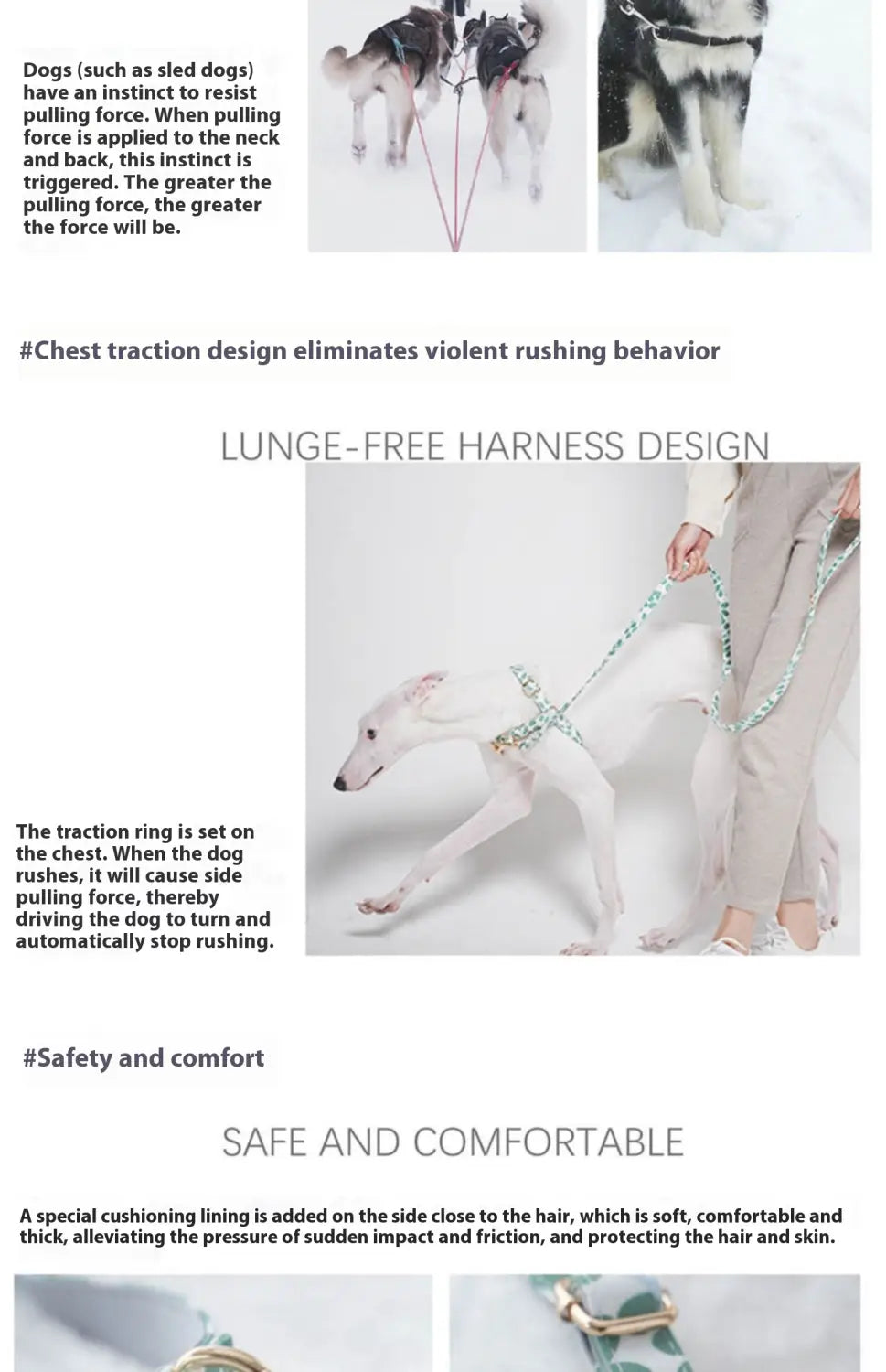 Laisse de compagnie mains libres et sangle de sangle de la sangle