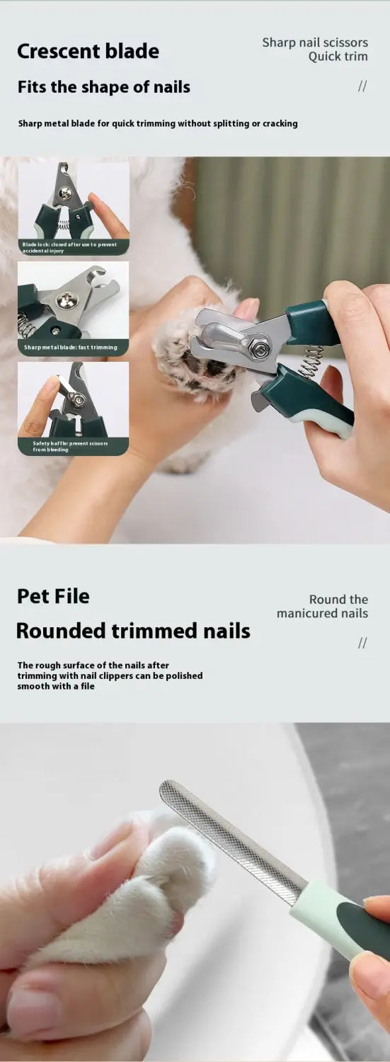 Koera peibutuskomplekt lemmikloomade juukseid kärpimise nuga kammipintsled desheding tööriistakomplekt