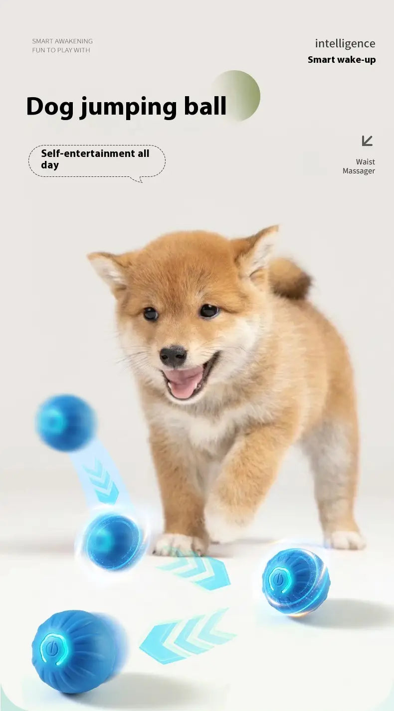 Koerapalli kumer TPR lemmiklooma mänguasi koos andmekaabliga sinise või oranži koertele