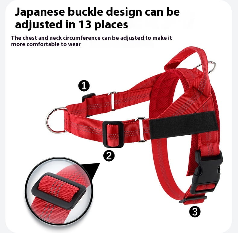 Käed tasuta lemmikloomarihmaga, hoides trossi reguleeritavat nailonist koera kõndimist plii