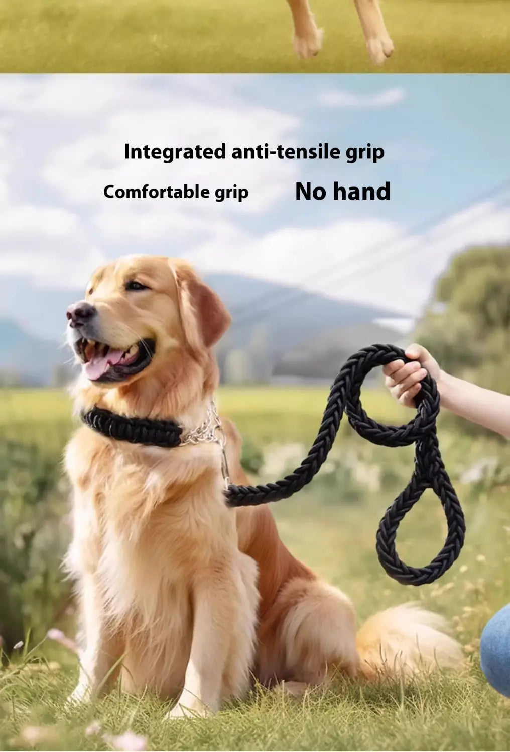 Suite de collier de formation pour animaux de compagnie de base en plusieurs couleurs 1,2 m réglable