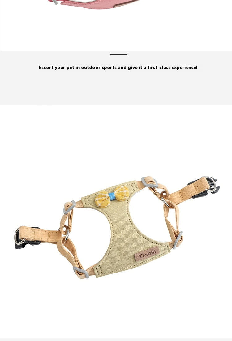 Harnais de chien réglable et laisse réglé à lamelle molle sans trait de poitrine de compagnie