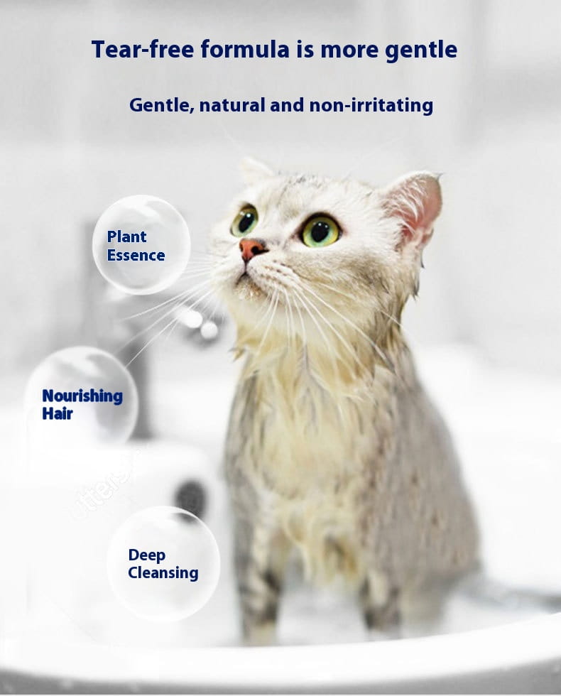 Glóthach cithfholctha cat frith-Mite 500ml do Ragdoll Persian Siamese Sfhynx Shorthair