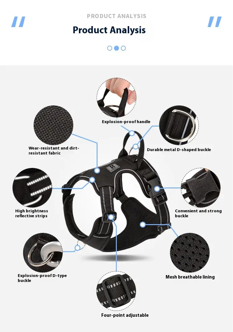 Laisse animale mains libres avec bracelet mammaire réglable pour circonférence thoracique X