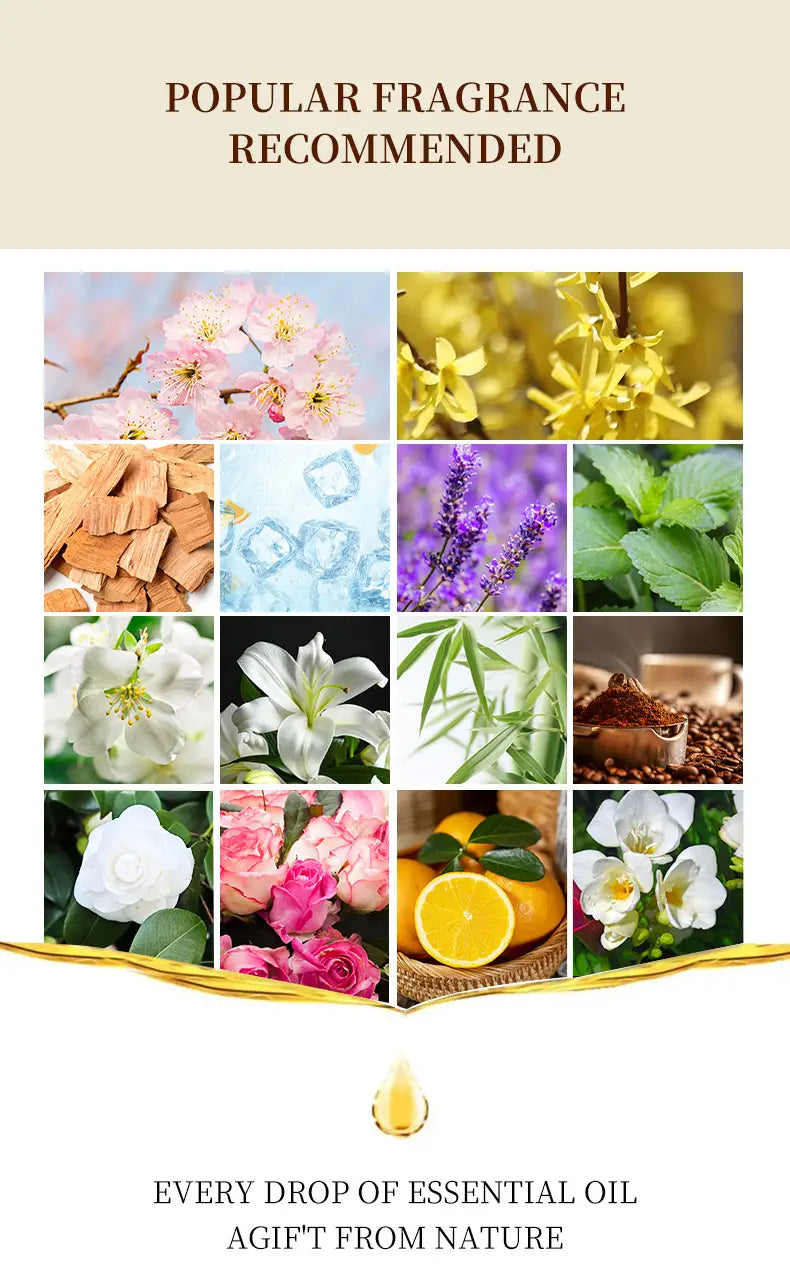 Aromaterapiaöljy, joka on asetettu raikasta ilmaa ja rentoutumista varten 7-15 päivän tarjonta