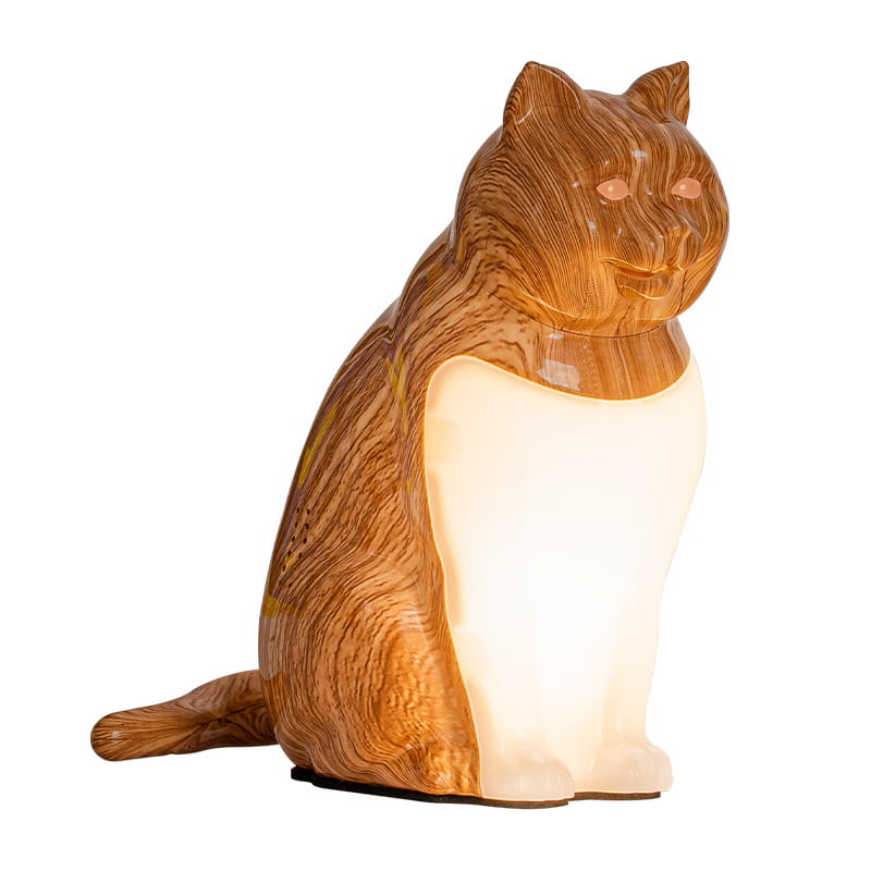 Decorative Night Light with USB Charging for Bedroom and Cat