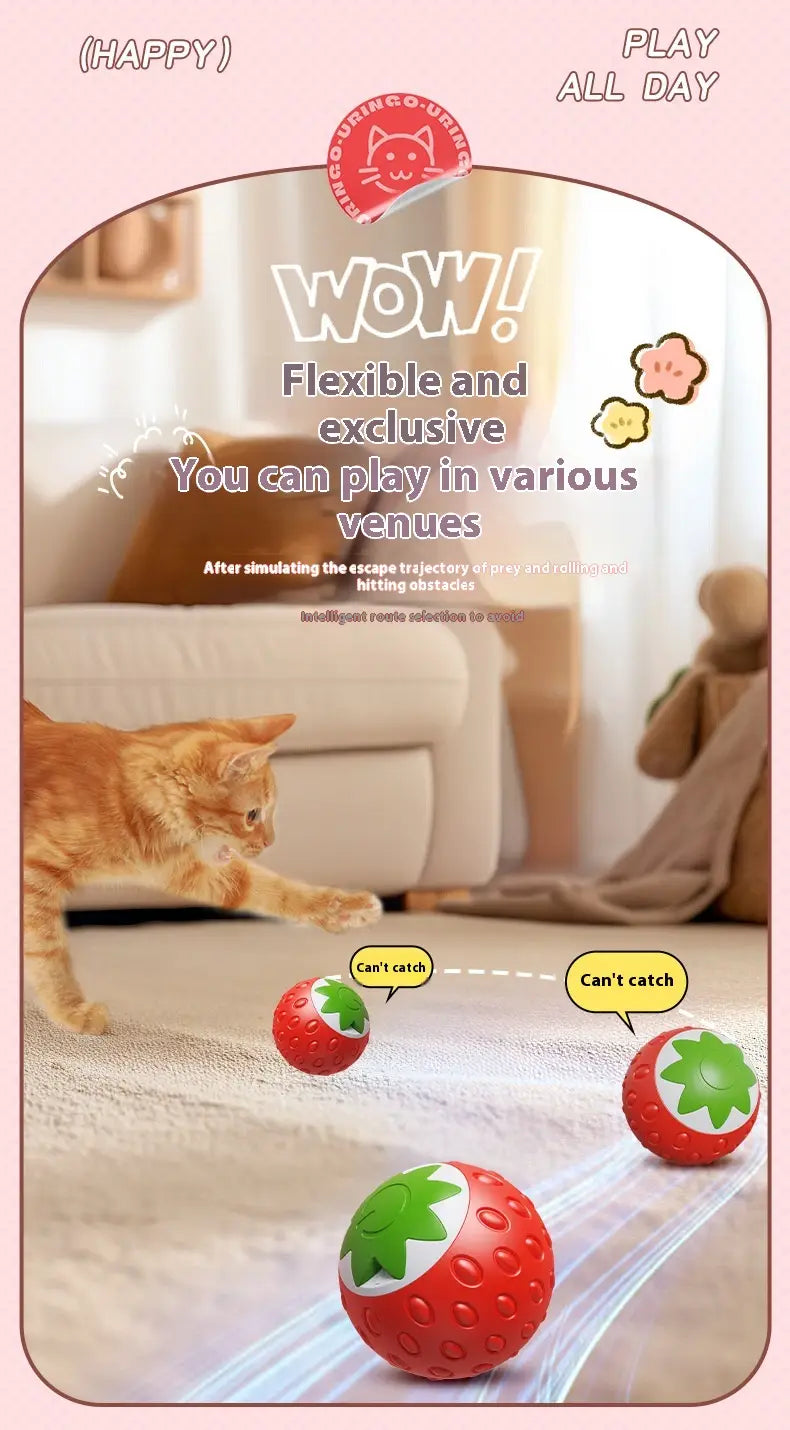 Kassipalliroheline ja oranž interaktiivne veerev kuuli mänguasi lemmikloomadele