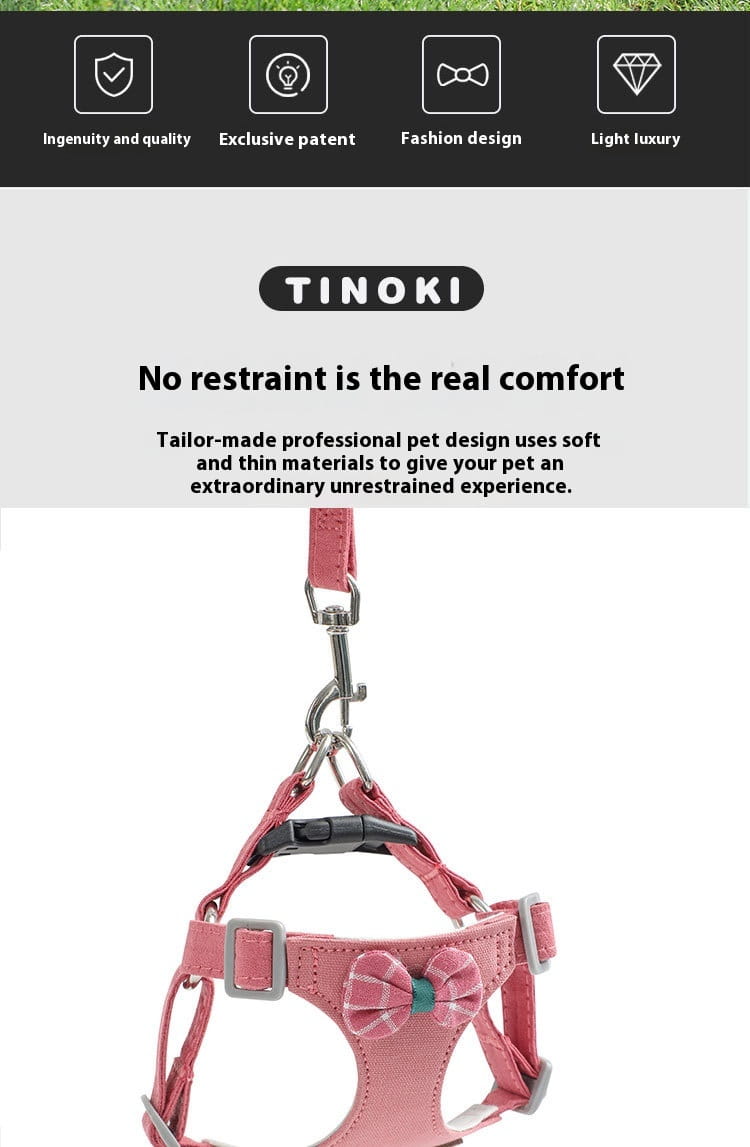 Harnais de chien réglable et laisse réglé à lamelle molle sans trait de poitrine de compagnie