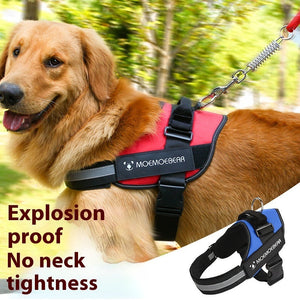Adjustable Dog Harness and Leash Set Colorful Soft Pet Walking Strap