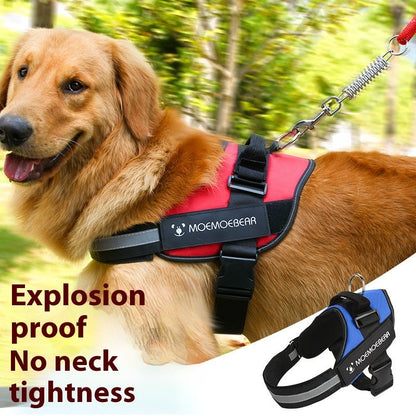 Adjustable Dog Harness and Leash Set Colorful Soft Pet Walking Strap