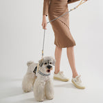 Adjustable Nylon PVC Dog Collar and Harness Set with Chain Ring for Pets