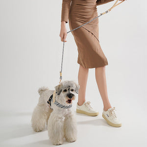 Adjustable Nylon PVC Dog Collar and Harness Set with Chain Ring for Pets